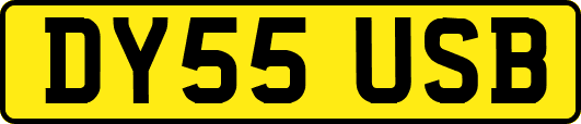 DY55USB