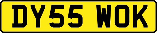 DY55WOK