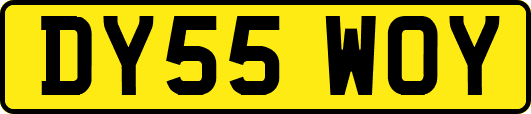 DY55WOY