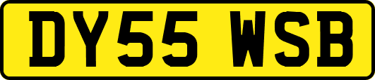 DY55WSB