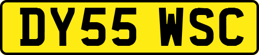 DY55WSC