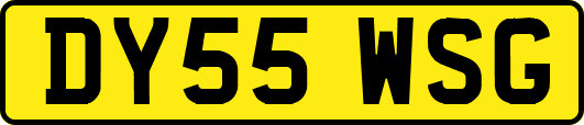 DY55WSG