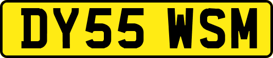 DY55WSM