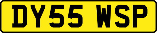 DY55WSP
