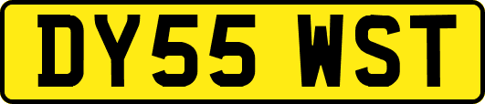 DY55WST