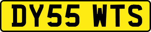 DY55WTS