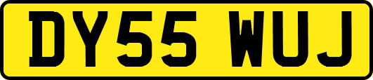DY55WUJ