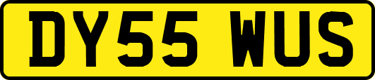 DY55WUS