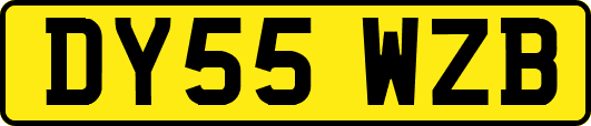 DY55WZB