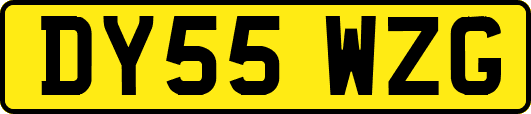 DY55WZG