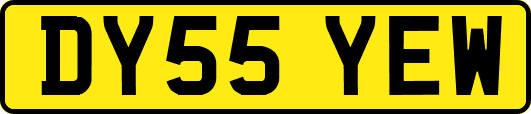 DY55YEW