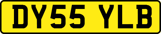 DY55YLB