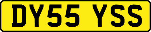 DY55YSS