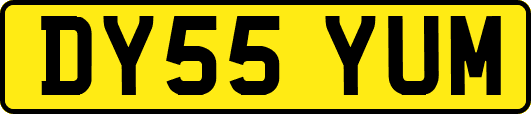 DY55YUM