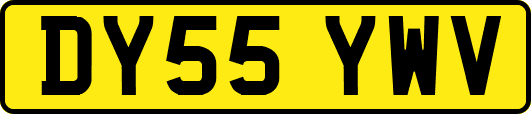 DY55YWV