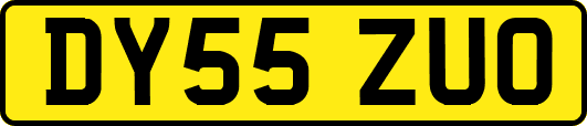 DY55ZUO