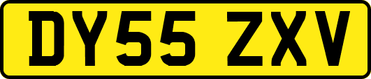 DY55ZXV