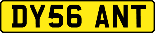 DY56ANT