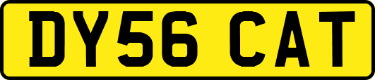 DY56CAT
