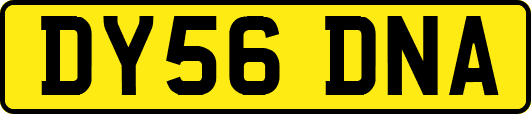 DY56DNA
