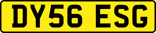 DY56ESG