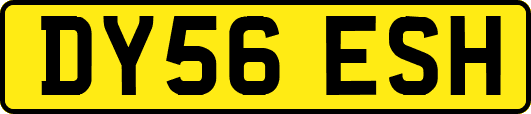 DY56ESH