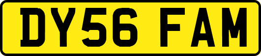 DY56FAM