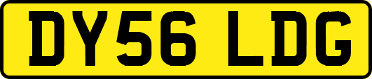DY56LDG