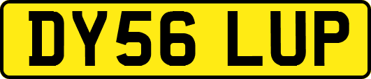 DY56LUP