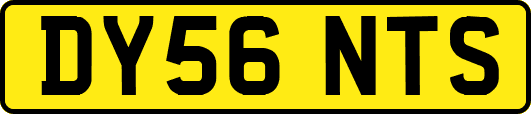 DY56NTS