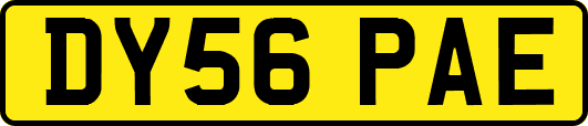 DY56PAE