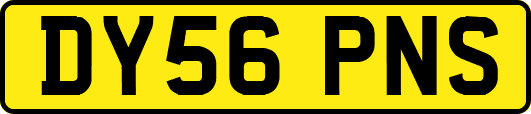 DY56PNS