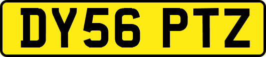 DY56PTZ