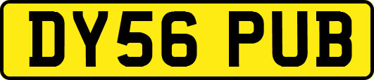 DY56PUB