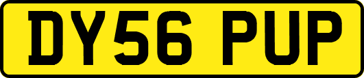DY56PUP