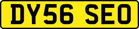 DY56SEO