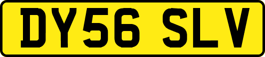 DY56SLV