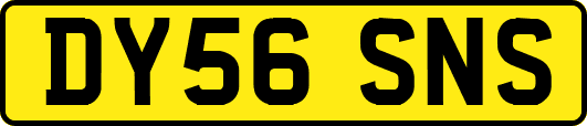 DY56SNS