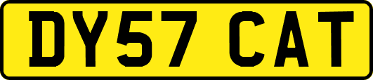 DY57CAT