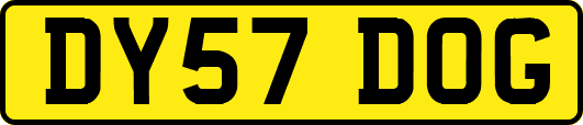 DY57DOG