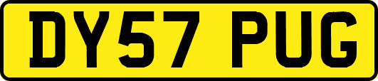 DY57PUG