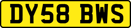 DY58BWS