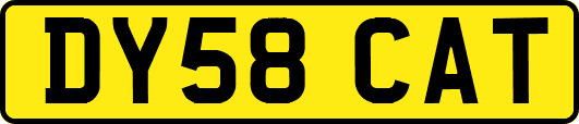 DY58CAT