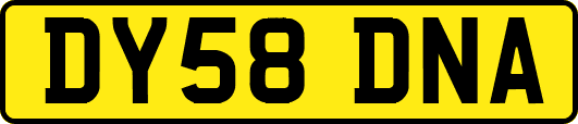 DY58DNA