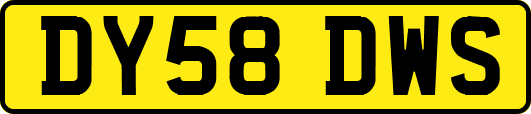 DY58DWS