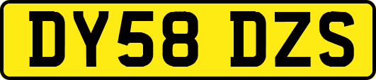 DY58DZS