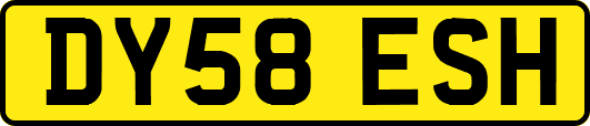 DY58ESH