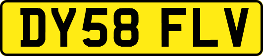 DY58FLV