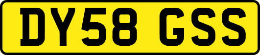 DY58GSS