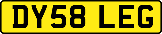 DY58LEG